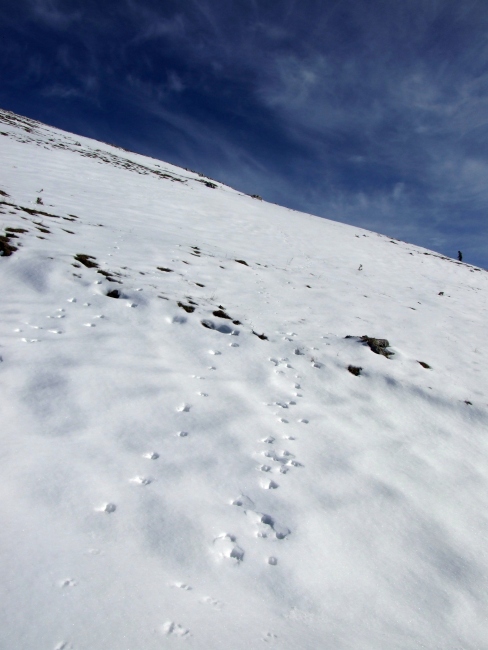 Versante laziale del Parco Nazionale d''Abruzzo